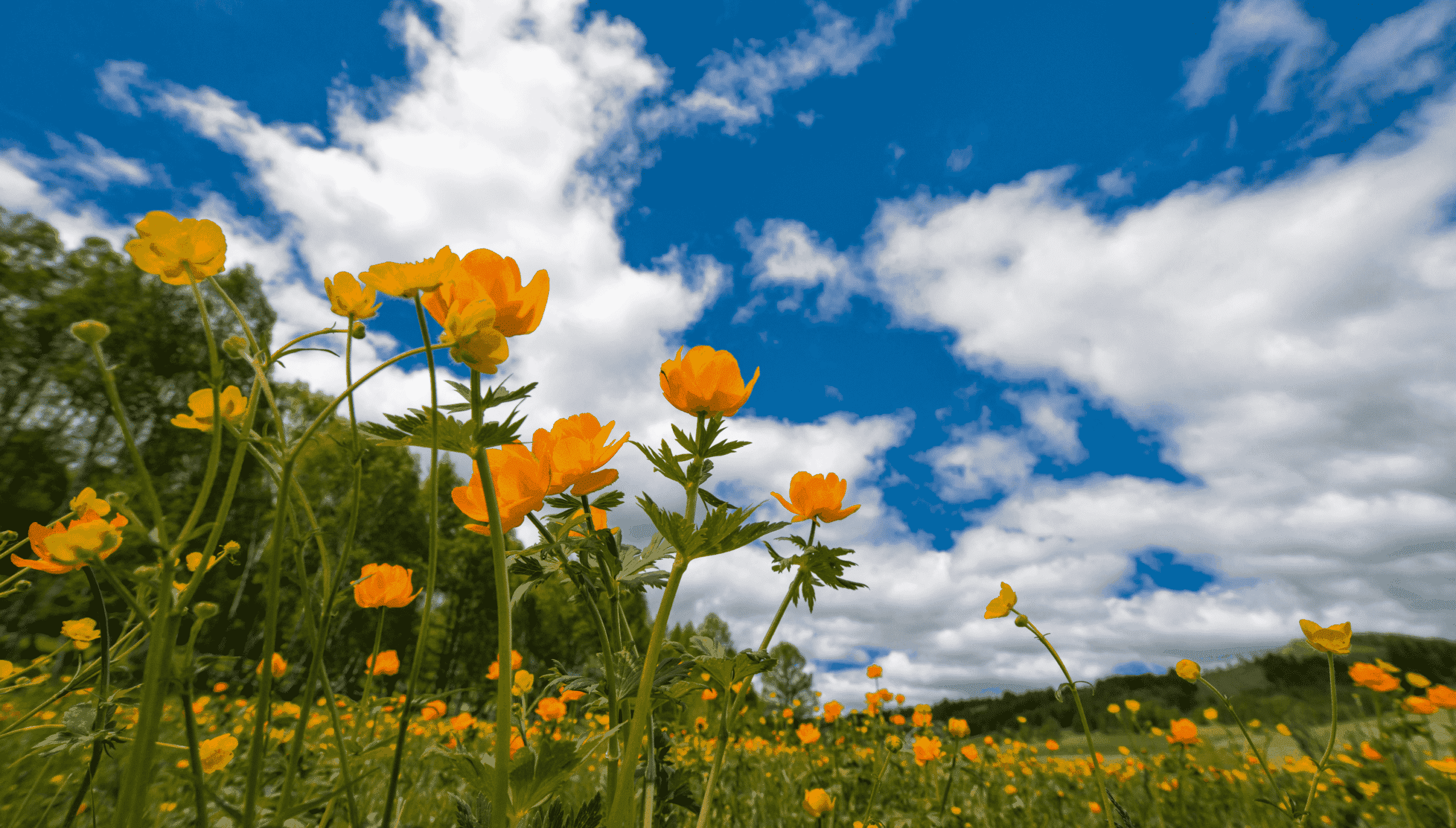 Recovery from addiction and loneliness Recovery from addiction and loneliness