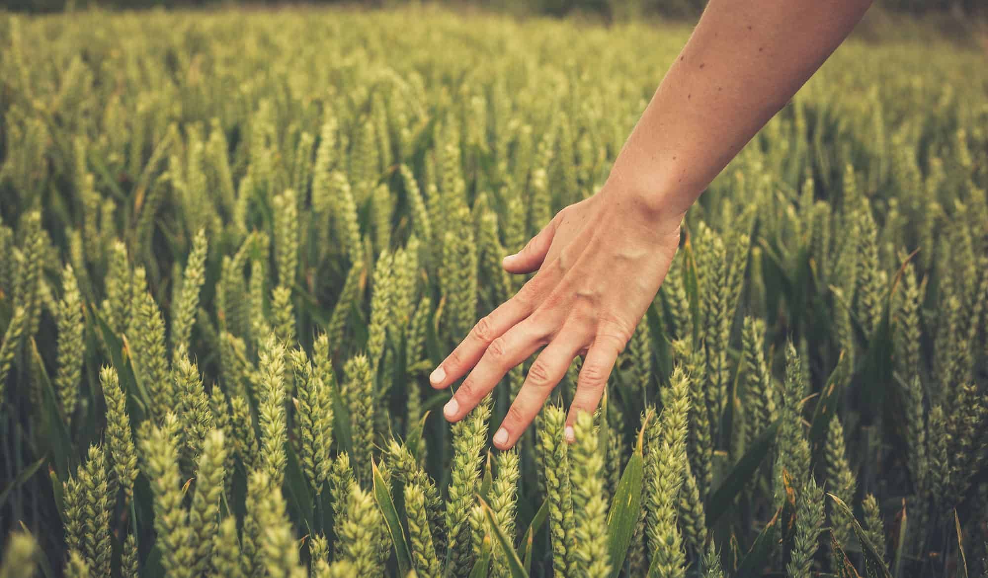 The Three Cs - Finding Freedom in Family Recovery The Three Cs - Finding Freedom in Family Recovery