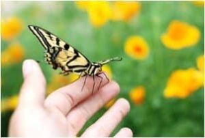 Read more about the article A New Life of Hope