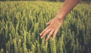 Read more about the article The Three Cs: Finding Freedom in Family Recovery